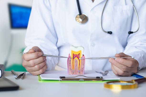 Best Emergency Dental Services for Seniors in Hoopeston, IL